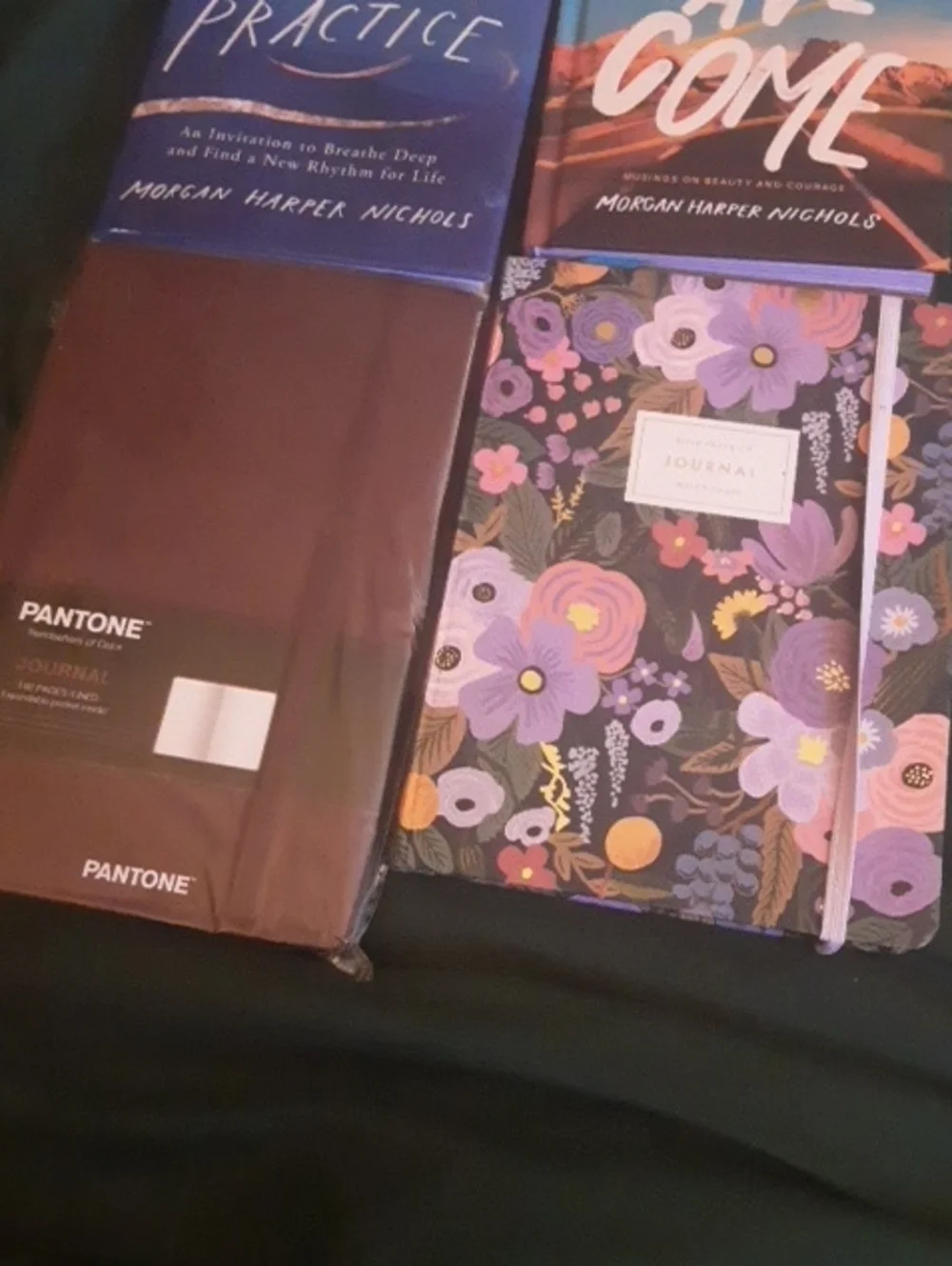 Morgan Harper Nichols Books Plus 2 Journals